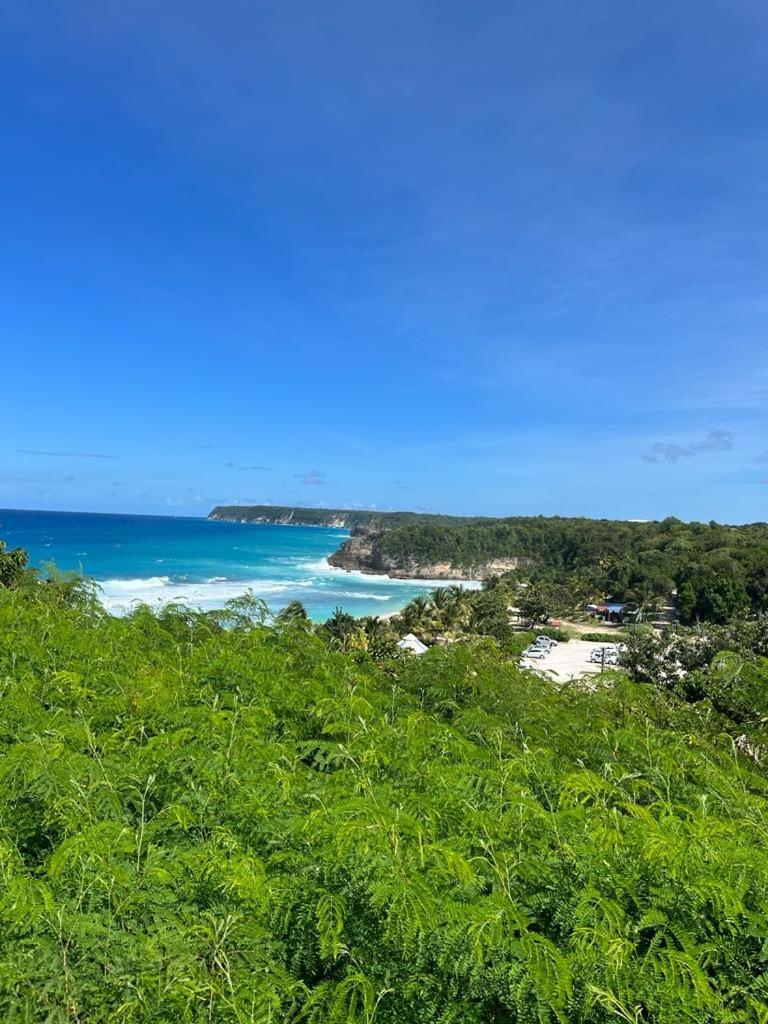 Vila  La Kaz A Coyoky Anse-Bertrand Exteriér fotografie